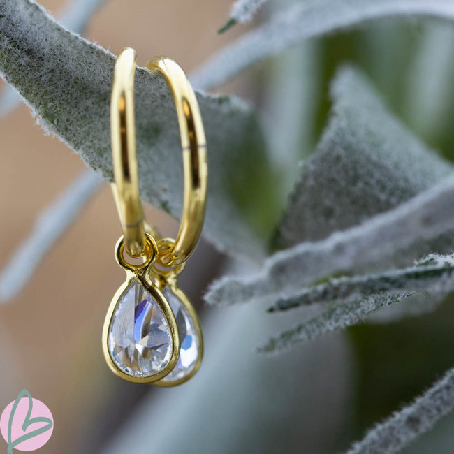 Hoops Symbols  Zirconia Drop Goldplated