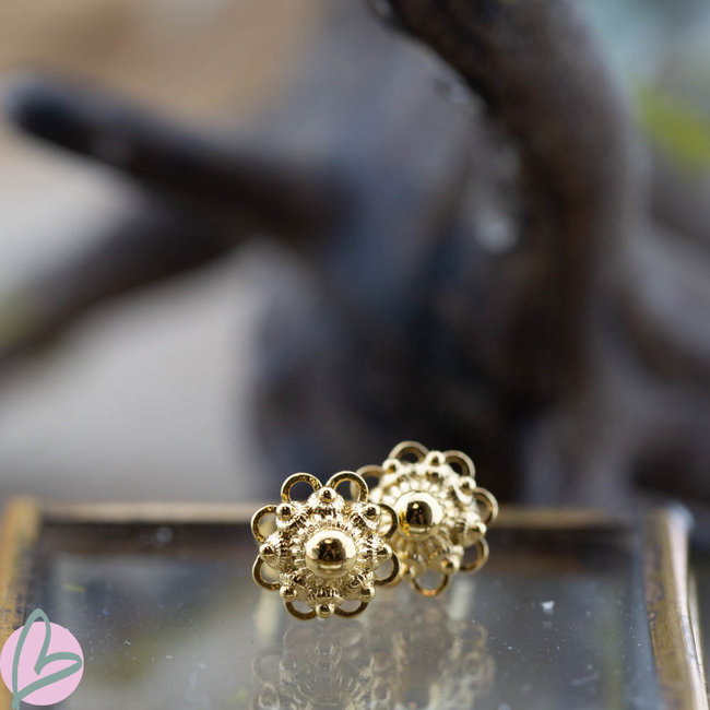 IXXXI Zeeuwse knop Staal oorbellen goud