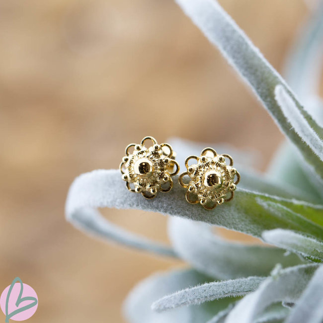 IXXXI Zeeuwse knop Staal oorbellen goud