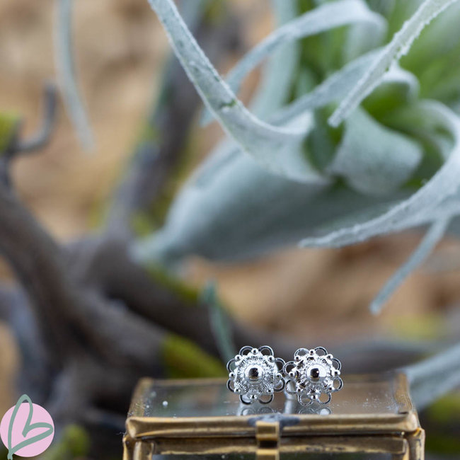 IXXXI Zeeuwse knop Staal oorbellen zilver