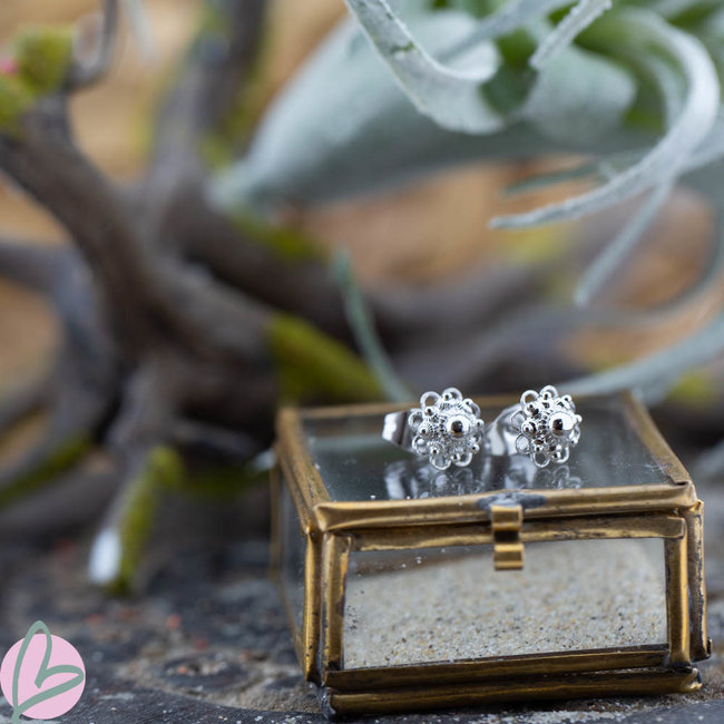 IXXXI Zeeuwse knop Staal oorbellen zilver