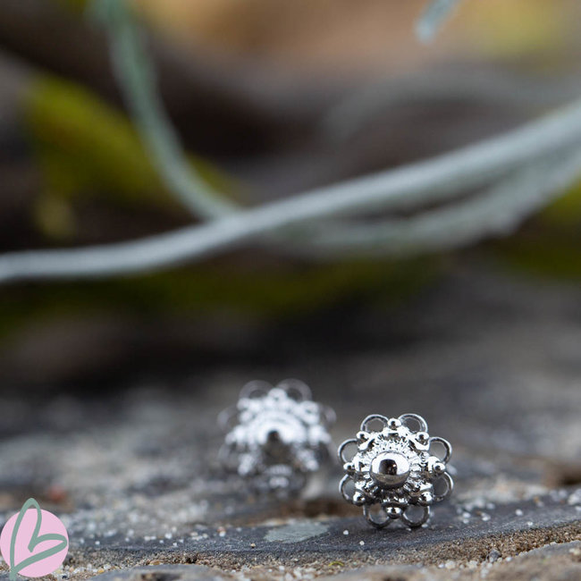 Zeeuwse knop Staal oorbellen zilver
