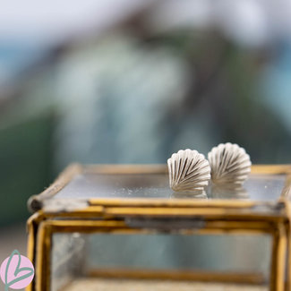 Day & Eve  Oorstekers schelp zilver