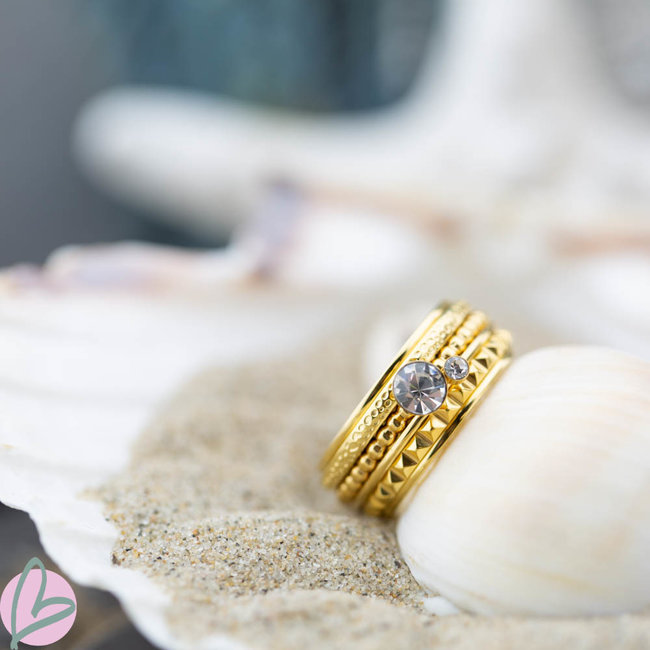 Complete ixxxi ring goud steen