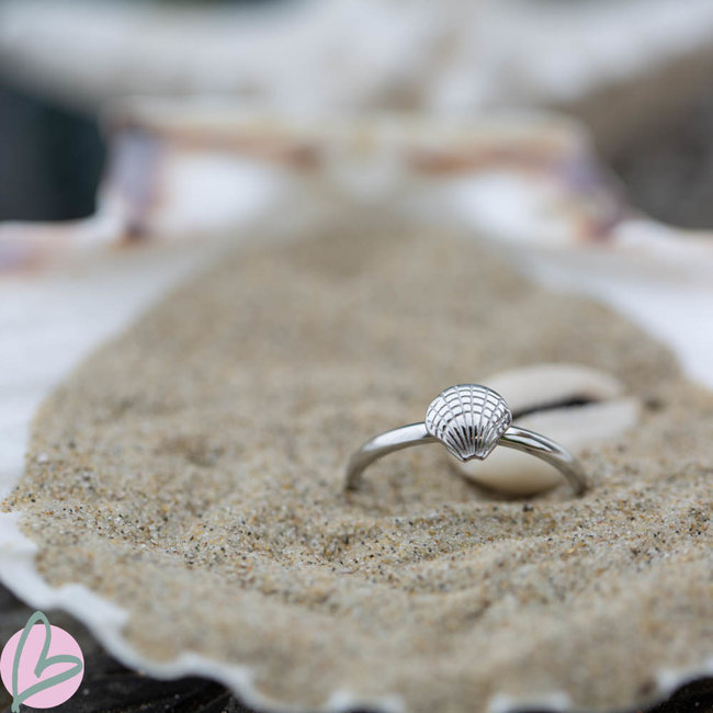 IXXXI Vulring schelp zilver 2mm
