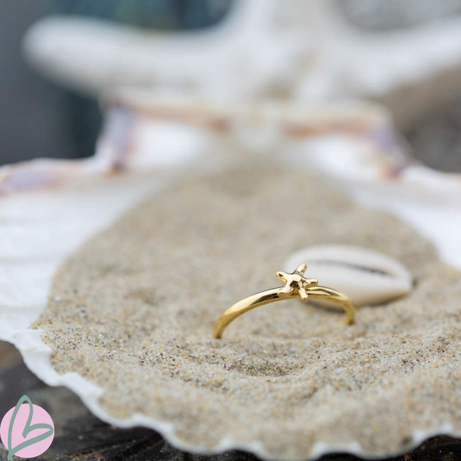 Vulring zeester goud 2mm