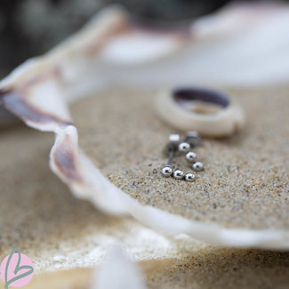 Day & Eve  Bolletjes  oorstekers zilver