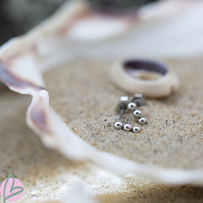 Day & Eve  Bolletjes  oorstekers zilver