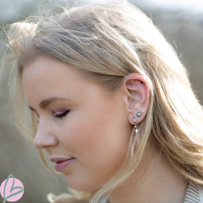 Zeeuws Zilveren Zeeuwse knop oorstekers 6mm