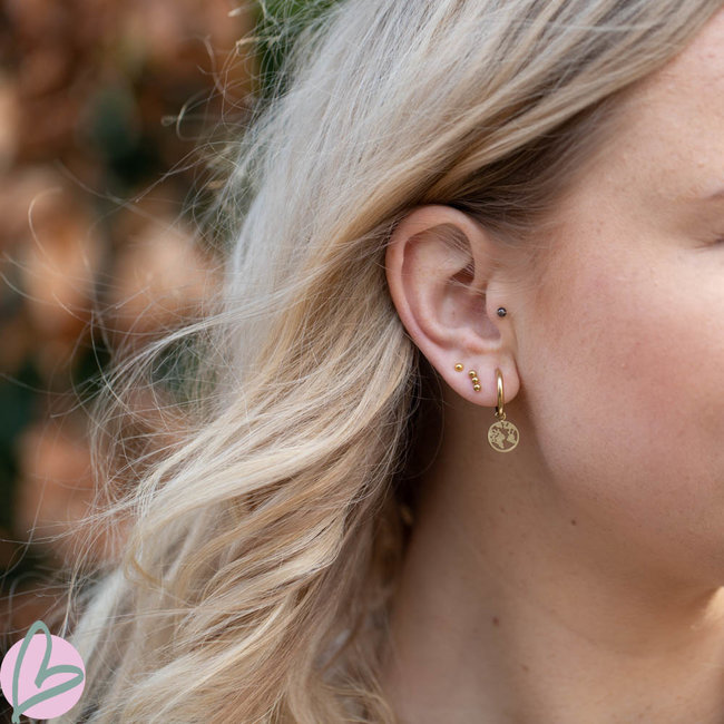 Day & Eve  Oorbellen met wereldbol goud