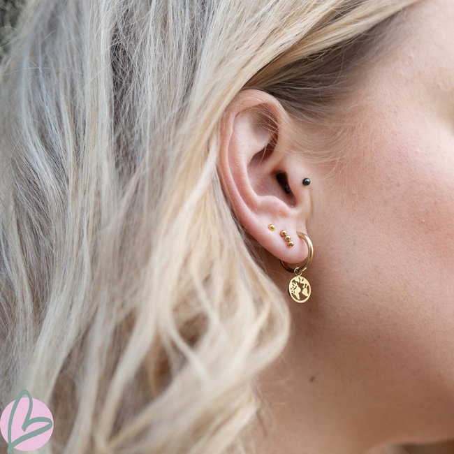 Day & Eve  Oorbellen met wereldbol goud