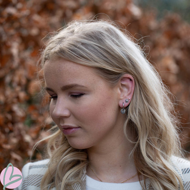 Day & Eve  Zilver oorringen met tijgerprint bedel van staal