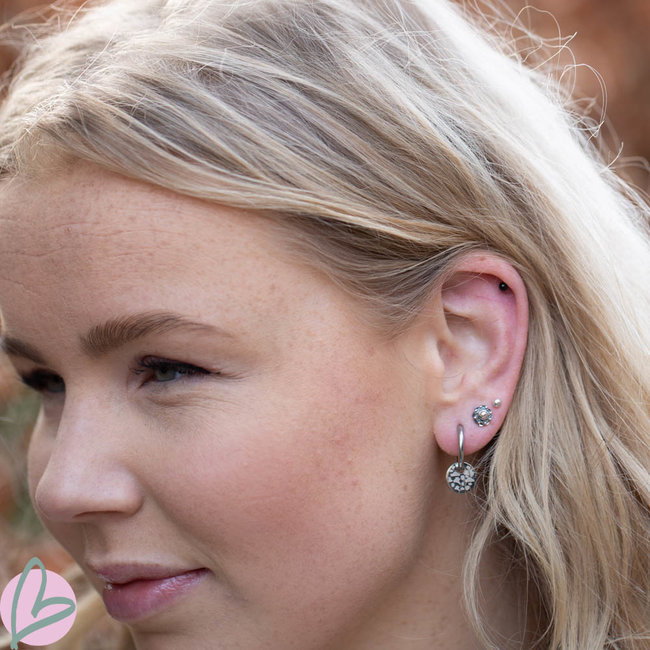 Zilver oorringen met tijgerprint bedel van staal