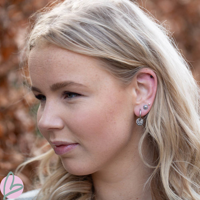 Zilver oorringen met tijgerprint bedel van staal
