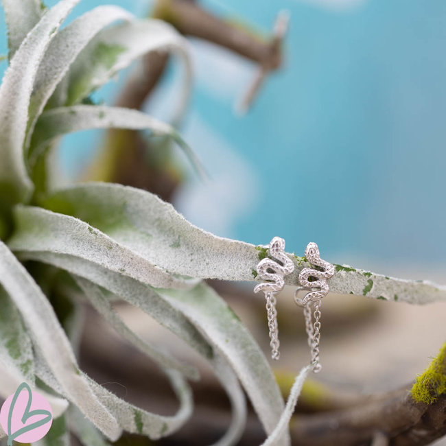 Oorstekers slang zilver met ketting