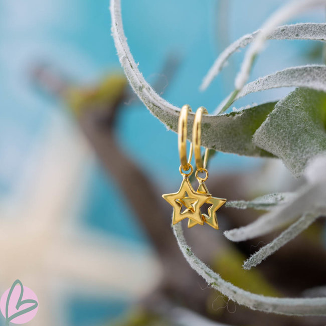 KARMA Goud oorringen met open ster