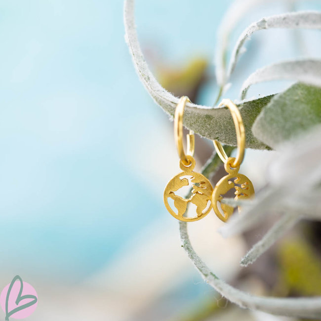 KARMA Oorringen goud wereldbol