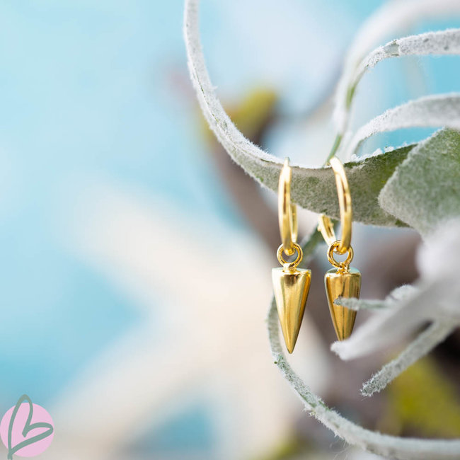 Hoops Symbols Round Cone Goldplated
