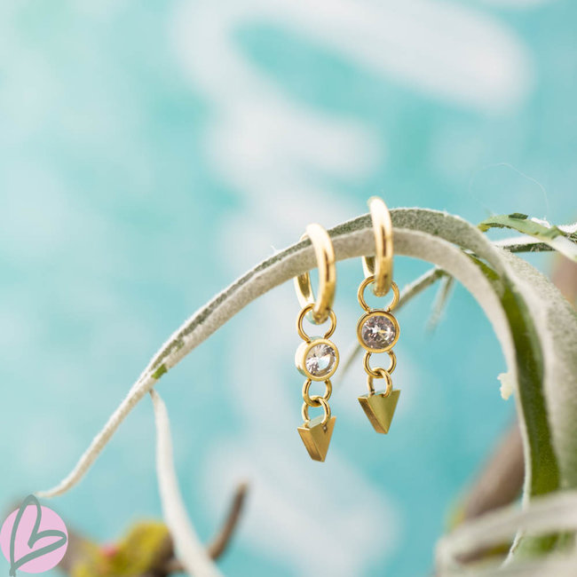 Day & Eve  go dutch label goud oorringen met crystal steen en driehoek