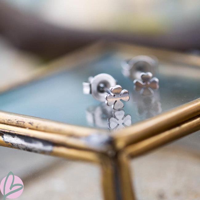 Day & Eve  Klaver vier oorstekers