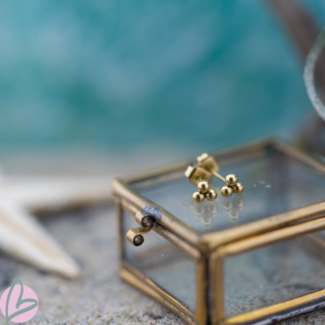 Day & Eve by Go Dutch Label Bolletjes oorstekers goud