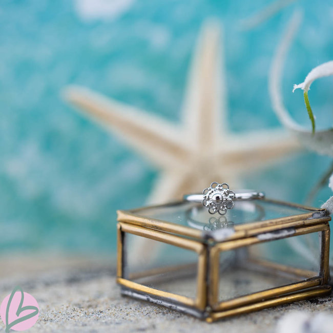 Zeeuws Een Vleugje Zeeland om je Vinger: De Zeeuwse Knop Ring!