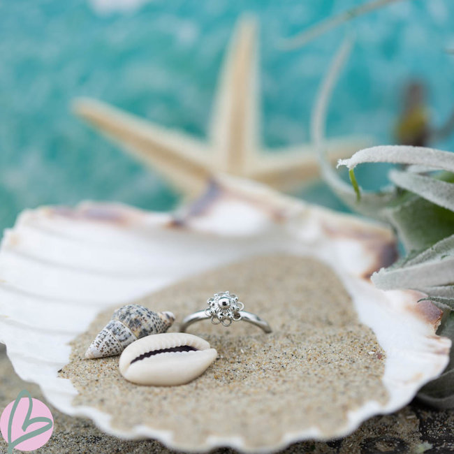 Zeeuws Een Vleugje Zeeland om je Vinger: De Zeeuwse Knop Ring!