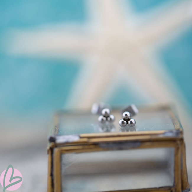 Day & Eve  Bolletjes oorstekers zilver