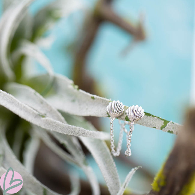 Karma Zilver oorstekers met schelp en ketting
