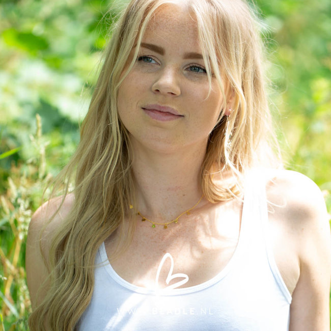 KARMA Karma Necklace 7 Discus (muntjes) Silver 925gold