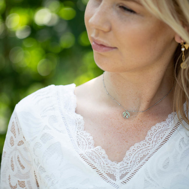 Day & Eve by Go Dutch Label Ketting staal zilver wereldbol aarde