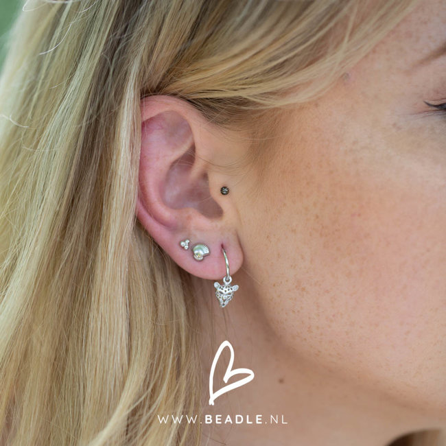 Day & Eve  Oorstekers zilver schelp