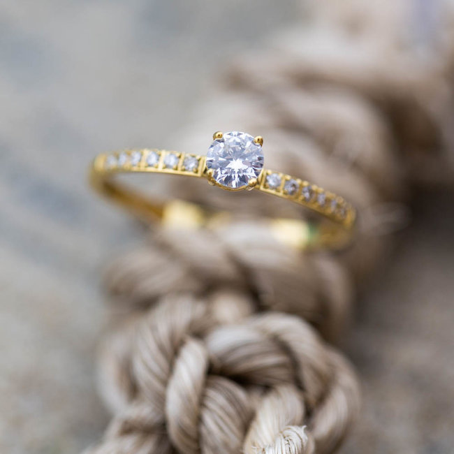 IXXXI Queen goud vulring  ixxxi