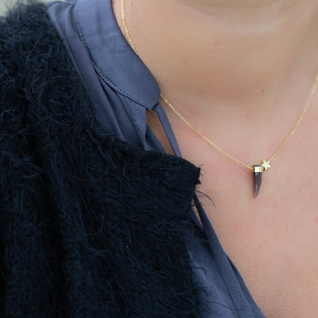 ZAG  Bijoux ZAG Bijoux ketting goud met taupe/grijze haaientand en sterretje