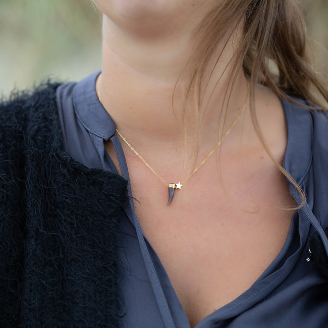 ZAG  Bijoux ZAG Bijoux ketting goud met taupe/grijze haaientand en sterretje