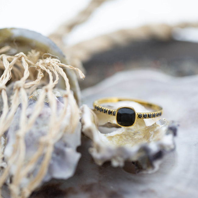 Ixxxi ring goud met zwarte steen