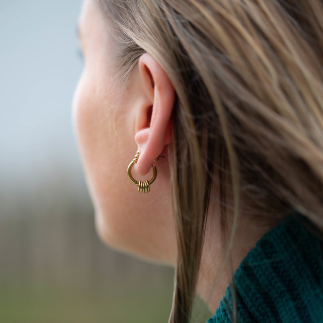 Day & Eve  goud oorbellen dancing circle