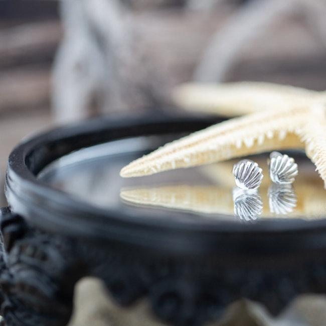 Echt zilver oorbellen met schelp