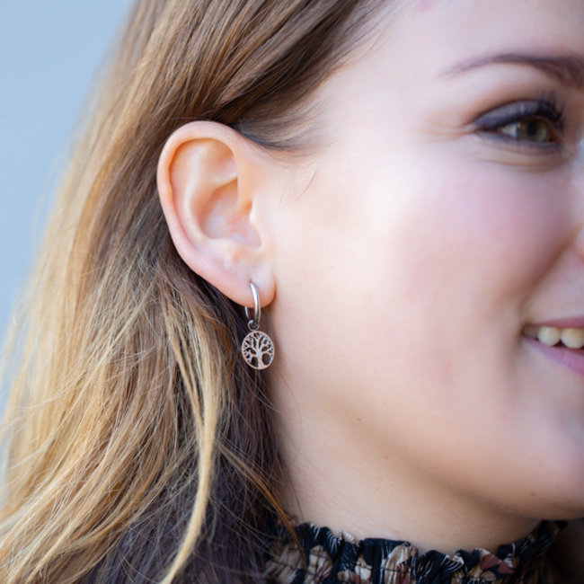Day & Eve  Zilver oorbellen lifetree