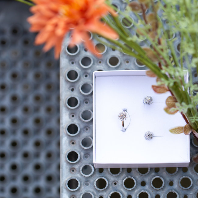 IXXXI Complete set Zeeuwse knop zilver