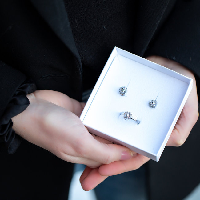 Complete set Zeeuwse knop zilver