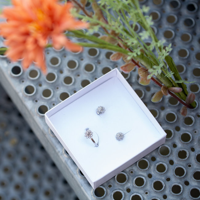 Complete set Zeeuwse knop zilver