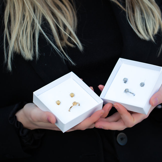 Complete set Zeeuwse knop goud
