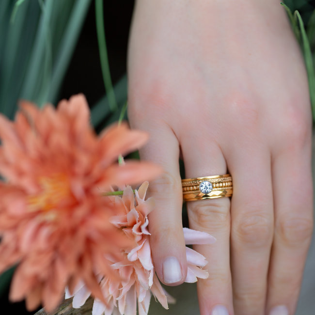 IXXXI Complete IXXXI ring goud met steentje