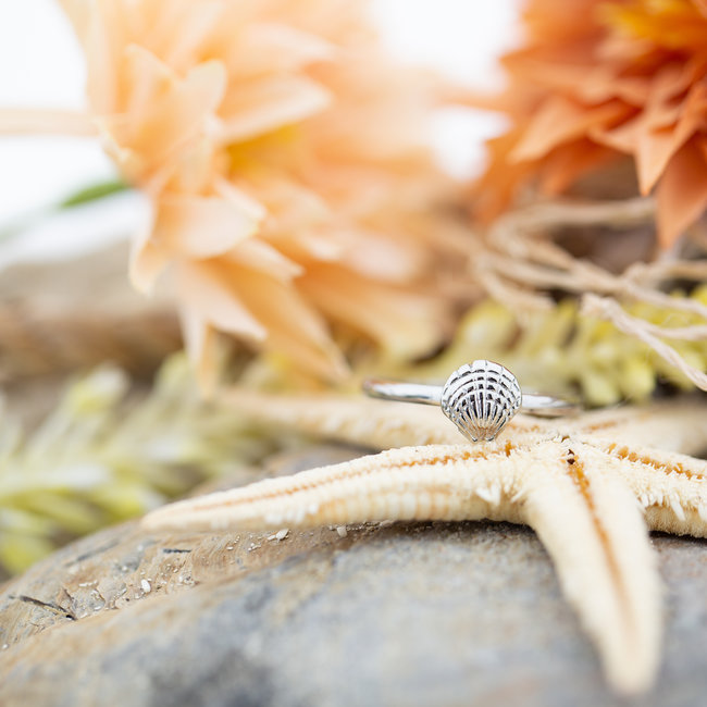 IXXXI Vulring schelp zilver 2mm