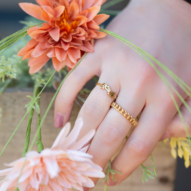 Charmins Schakel of blaadjesring goud