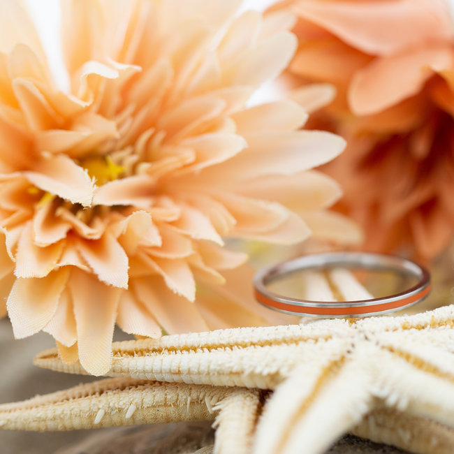 IXXXI Line koraal, roze paars, geel oranje