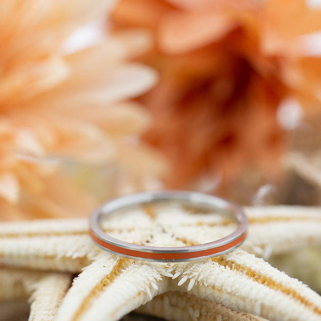 IXXXI Line koraal, roze paars, geel oranje