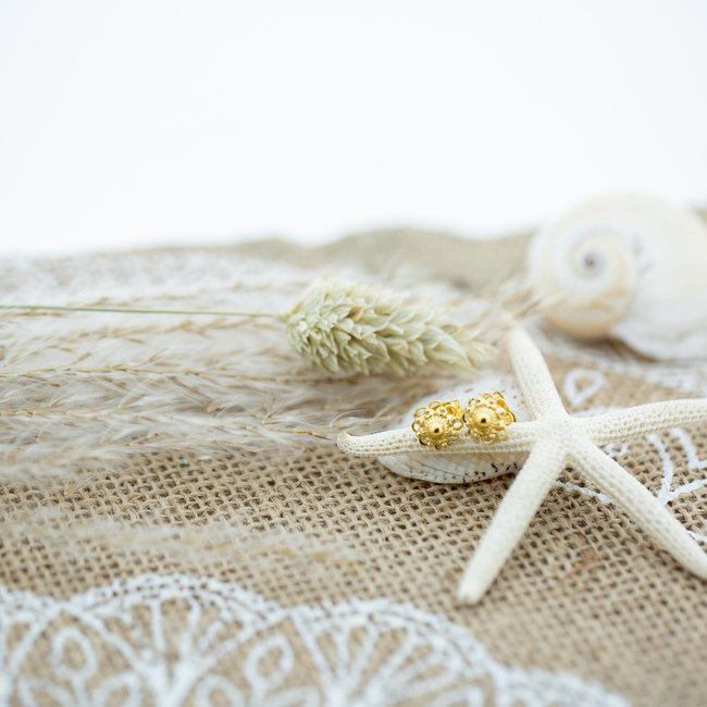 IXXXI Zeeuwse knop Staal oorbellen goud