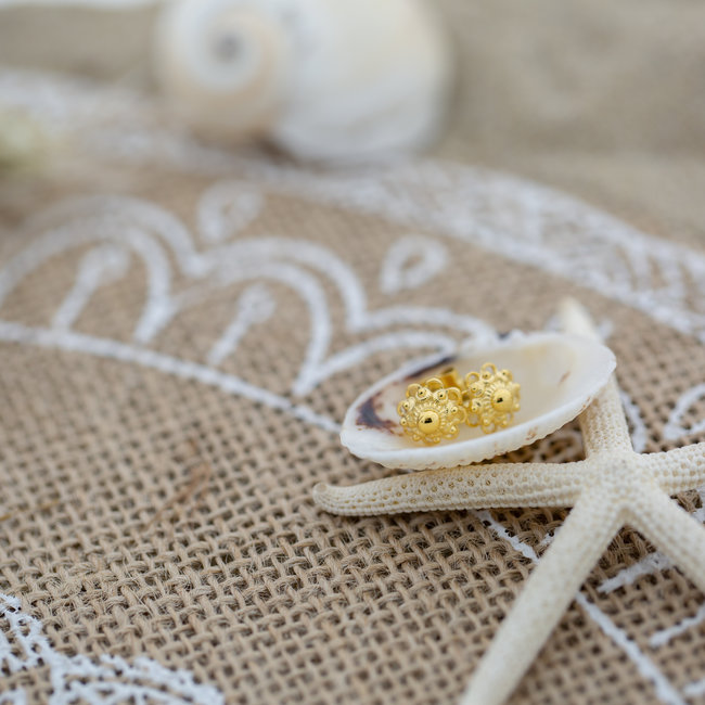 IXXXI Zeeuwse knop Staal oorbellen goud